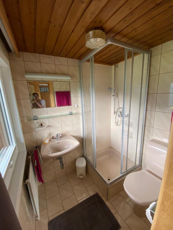 Landhaus Aigner Mittersill Dış mekan fotoğraf